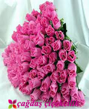 pembe-guller